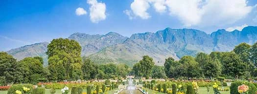 Kashmir Tour Packages from Kochi
